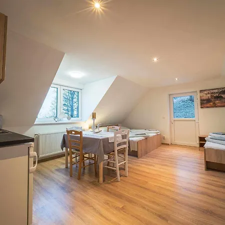 Pod Palicnikem Appartement Weissbach