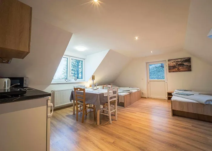 Pod Paličníkem Apartamento Bily Potok